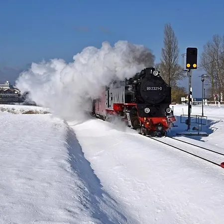 Strandhafer - Grosse Familienwohnung, Nur 300m Vom Ostseestrand Apartment