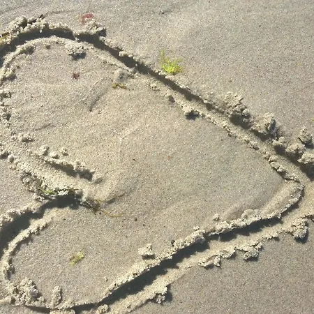 Apartmán Strandhafer - Grosse Familienwohnung, Nur 300m Vom Ostseestrand